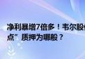 净利暴增7倍多！韦尔股份半年盈利超13亿元 控股股东“卡点”质押为哪般？