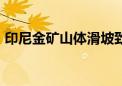 印尼金矿山体滑坡致27人死亡 搜救工作结束