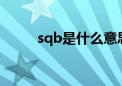 sqb是什么意思（qb是什么意思）