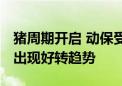 猪周期开启 动保受益上行？ 业内人士：开始出现好转趋势