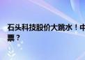 石头科技股价大跳水！中报净利大幅预为何遭投资者用脚投票？