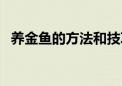 养金鱼的方法和技巧视频（养金鱼的方法）