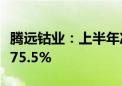 腾远钴业：上半年净利同比预增343.07%—475.5%