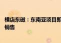 横店东磁：东南亚项目即将建成投产 储能产品已在欧洲市场销售