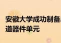 安徽大学成功制备出世界最小尺寸斯格明子赛道器件单元