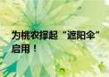 为桃农撑起“遮阳伞”  “京东快递清凉驿站”在阳山正式启用！