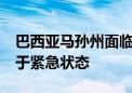 巴西亚马孙州面临严重旱情 已有20个城市处于紧急状态