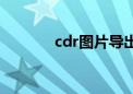 cdr图片导出不了（cdr图片）