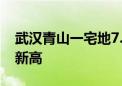 武汉青山一宅地7.77亿元成交 楼面价创区域新高