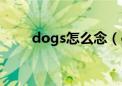 dogs怎么念（dogs怎么读音发音）