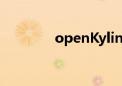 openKylin系统成功在RISC