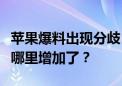 苹果爆料出现分歧！郭明錤：iPhone 16订单哪里增加了？