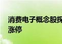 消费电子概念股探底回升 伟时电子拉升触及涨停