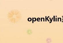 openKylin系统成功在RISC