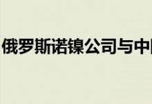 俄罗斯诺镍公司与中国电池企业洽谈合作建厂