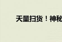 天量扫货！神秘机构持仓近5500亿