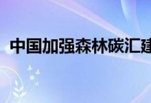 中国加强森林碳汇建设促进实现碳中和目标