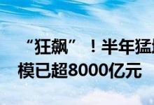 “狂飙”！半年猛增50% 中短债基金总体规模已超8000亿元