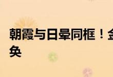 朝霞与日晕同框！金山岭长城雨后日出美轮美奂