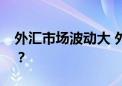 外汇市场波动大 外贸企业如何规避汇率风险？