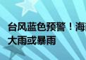 台风蓝色预警！海南岛大部、广东西部沿海有大雨或暴雨