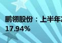 鹏翎股份：上半年净利同比预增378.71%—417.94%