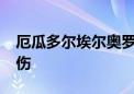 厄瓜多尔埃尔奥罗省发生暴力袭击 已致4死1伤