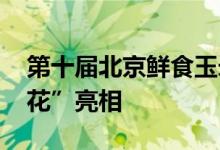 第十届北京鲜食玉米节开幕 玉米新品种“飞花”亮相