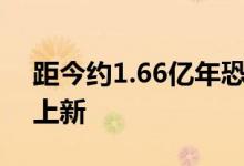 距今约1.66亿年恐龙化石！重庆恐龙属种又上新