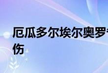 厄瓜多尔埃尔奥罗省发生暴力袭击 已致4死1伤