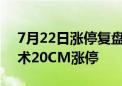 7月22日涨停复盘：*ST景峰14连板 国民技术20CM涨停