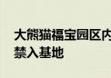 大熊猫福宝园区内掉入折叠凳 涉事女子终身禁入基地