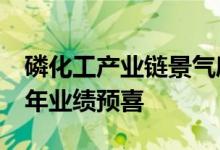 磷化工产业链景气度持续攀升 19家公司上半年业绩预喜