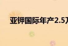 亚钾国际年产2.5万吨溴素扩建项目竣工