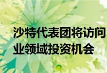 沙特代表团将访问巴西和智利 探索矿产和工业领域投资机会