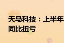 天马科技：上半年归母净利润5606.93万元 同比扭亏