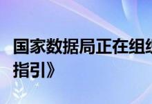 国家数据局正在组织编制《数据基础设施建设指引》