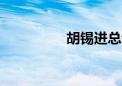 胡锡进总亏损破9.3万元