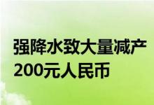 强降水致大量减产：韩国单个西瓜可能涨价至200元人民币