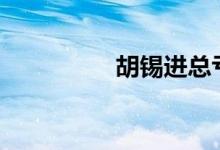 胡锡进总亏损破9.3万元