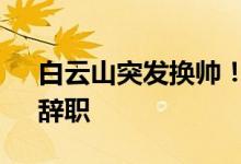 白云山突发换帅！执掌11年的“灵魂人物”辞职