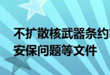 不扩散核武器条约筹备会召开 中方提交无核安保问题等文件