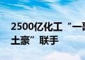 2500亿化工“一哥”放大招！再度与中东“土豪”联手