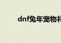 dnf兔年宠物礼盒（dnf宠物兔子）