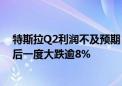 特斯拉Q2利润不及预期 Robotaxi推迟至10月发布 股价盘后一度大跌逾8%