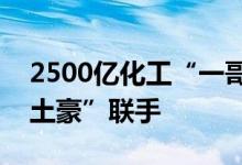 2500亿化工“一哥”放大招！再度与中东“土豪”联手