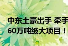 中东土豪出手 牵手2500亿“化学茅” 合作160万吨级大项目！