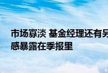 市场寡淡 基金经理还有另一个世界 徐彦、焦巍、张坤把情感暴露在季报里