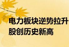 电力板块逆势拉升 长江电力、中国广核等多股创历史新高