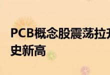 PCB概念股震荡拉升 胜宏科技涨超8%再创历史新高